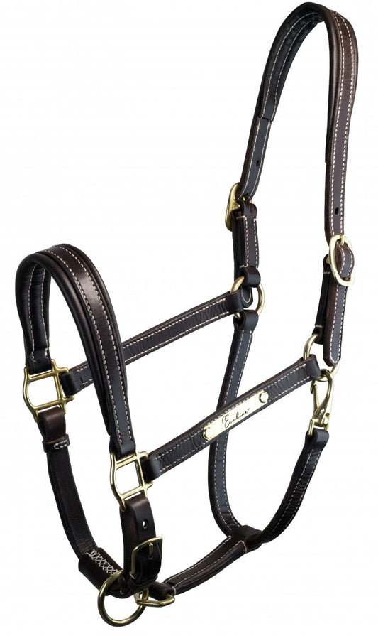 Lädergrimma Signature