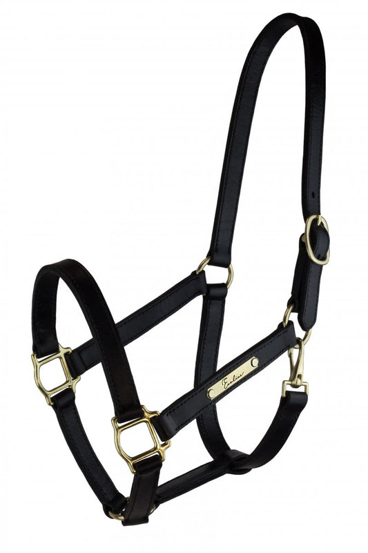 Lädergrimma Charming